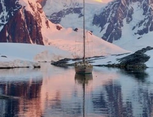 RETOUR AU PARADIS BLANC BALTHAZAR EN ANTARCTIQUE (1/2)